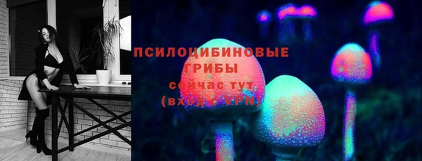 трава Богородицк