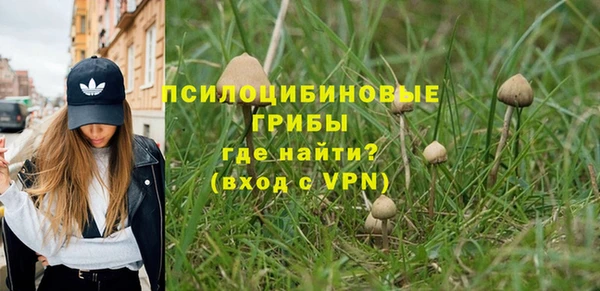 трава Богородицк