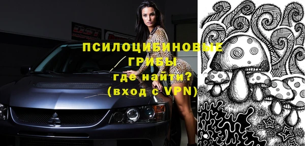 крисы Богданович