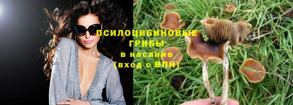крисы Богданович