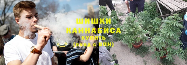 крисы Богданович