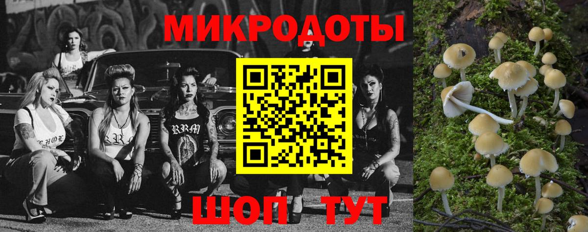 Галлюциногенные грибы ЛСД  Вход с VPN  Галлюциногенные грибы GOLDEN TEACHER  Наро-Фоминск 